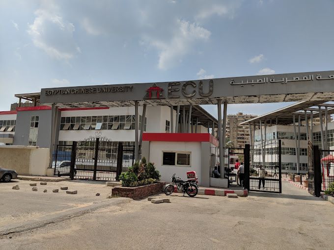 الطب البيطري