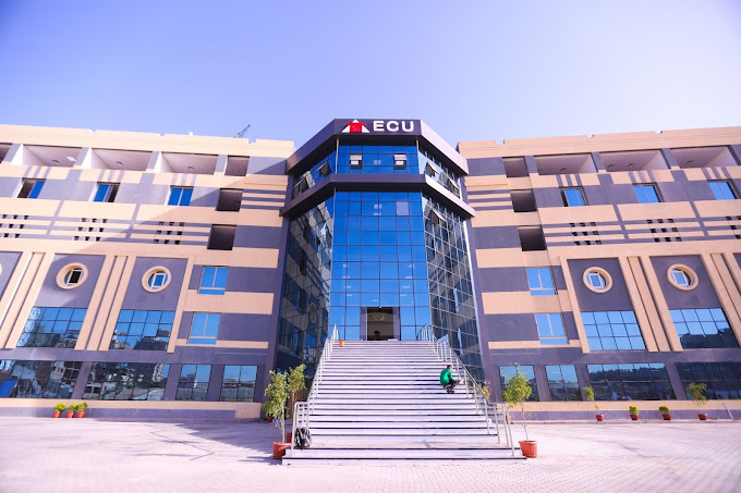 الجامعة المصرية الصينية