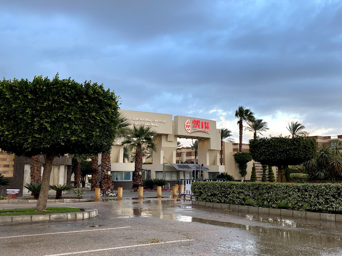 جامعة مصر الدولية