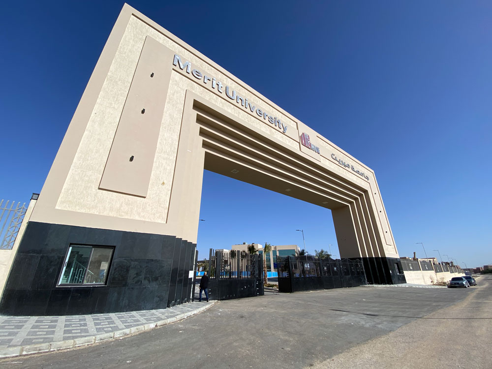 جامعة ميريت
