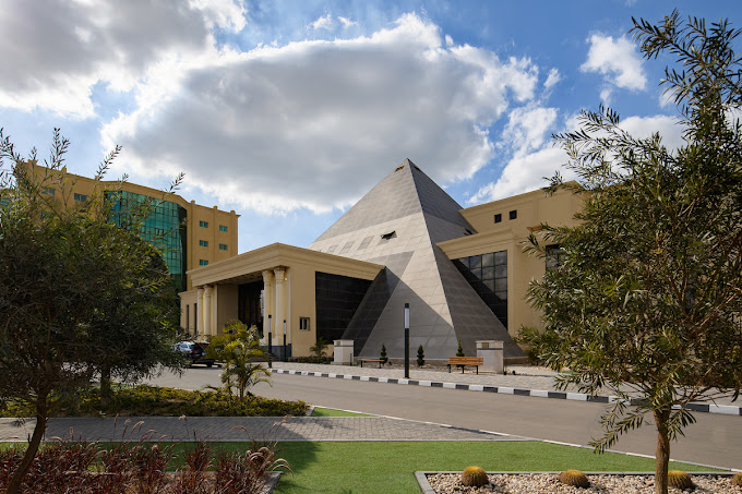 جامعة النهضة