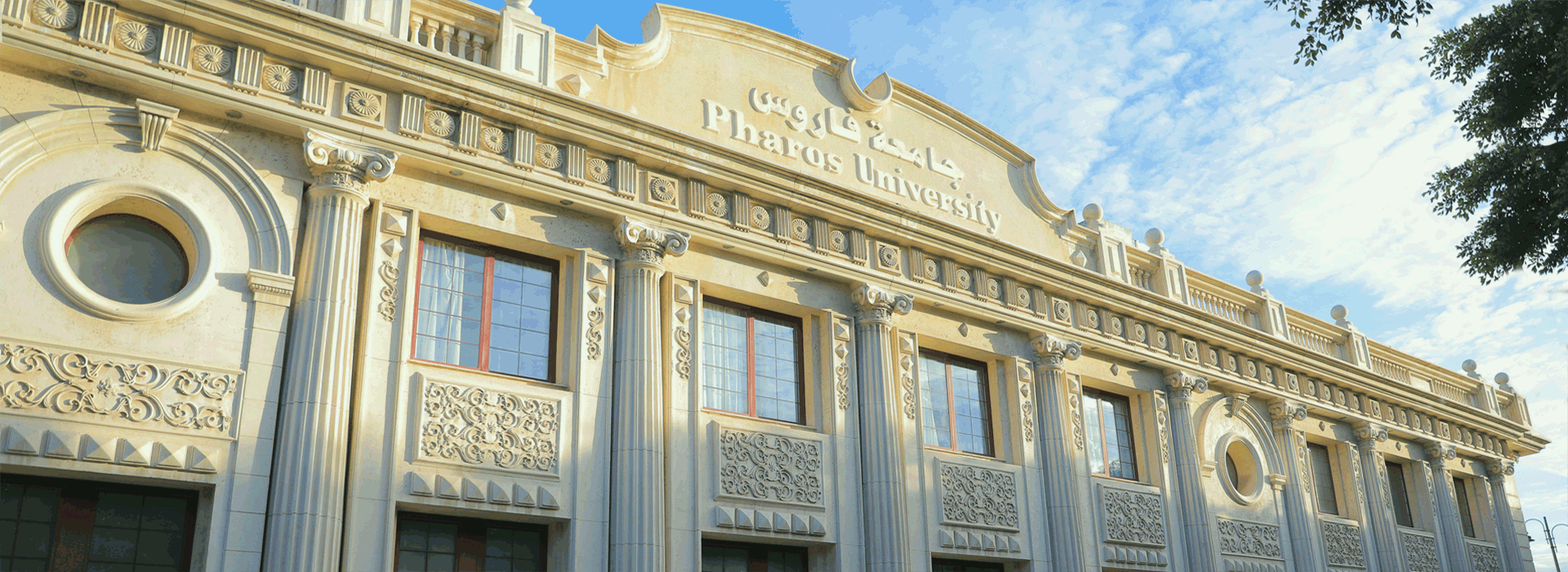  جامعة فاروس