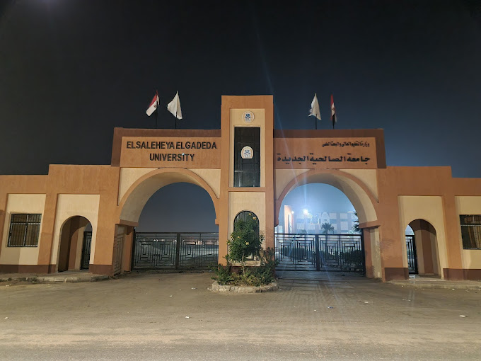جامعة الصالحية الجديدة