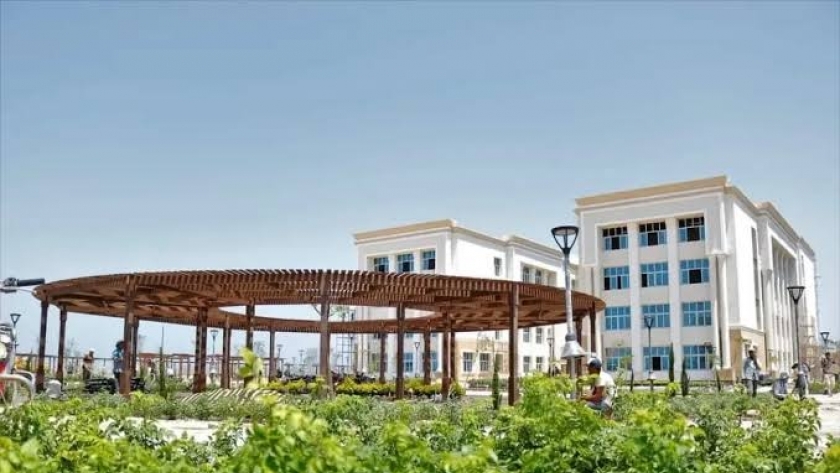 جامعة الزقازيق الأهلية