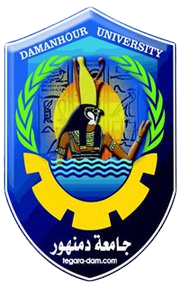 السياسة