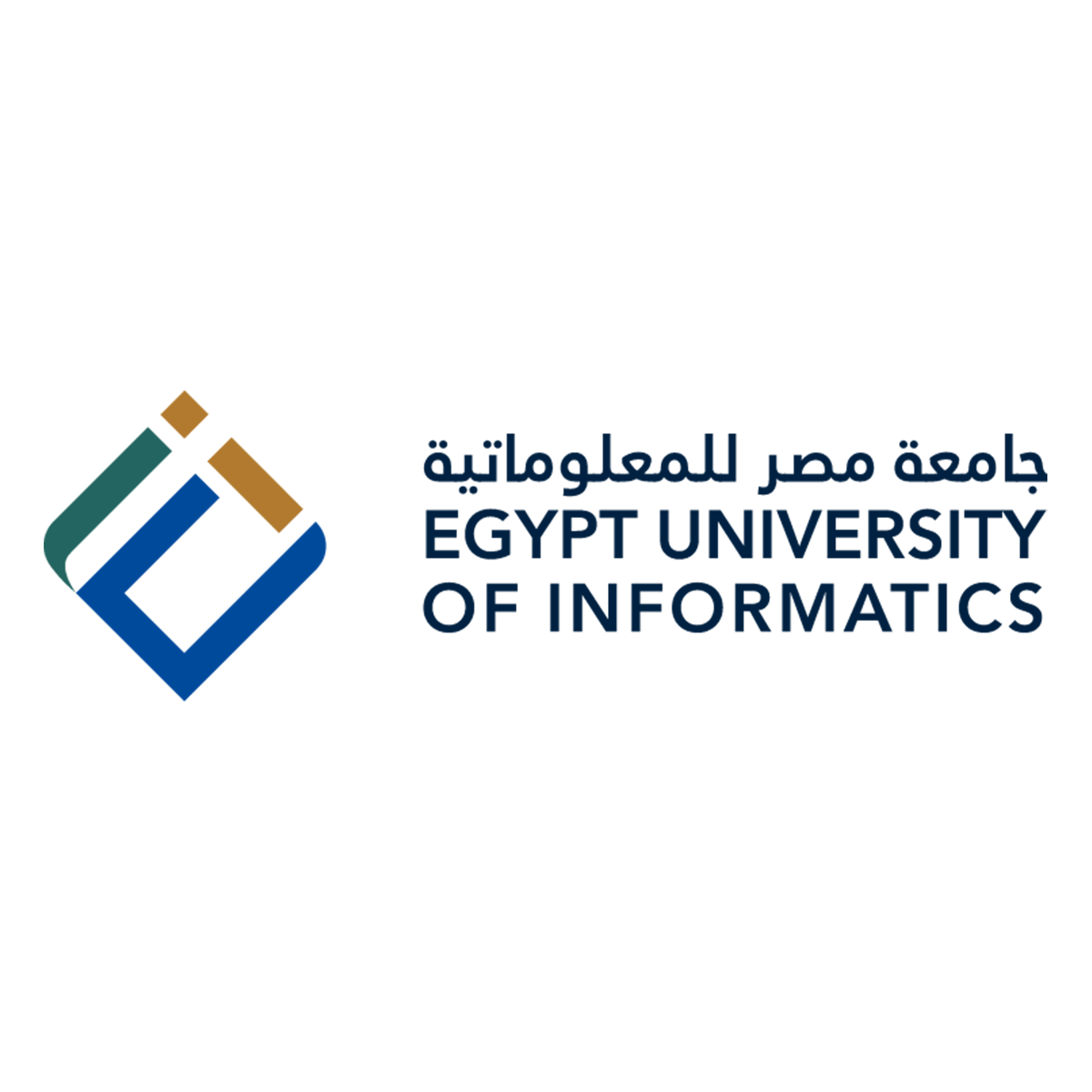 جامعة مصر للمعلوماتية