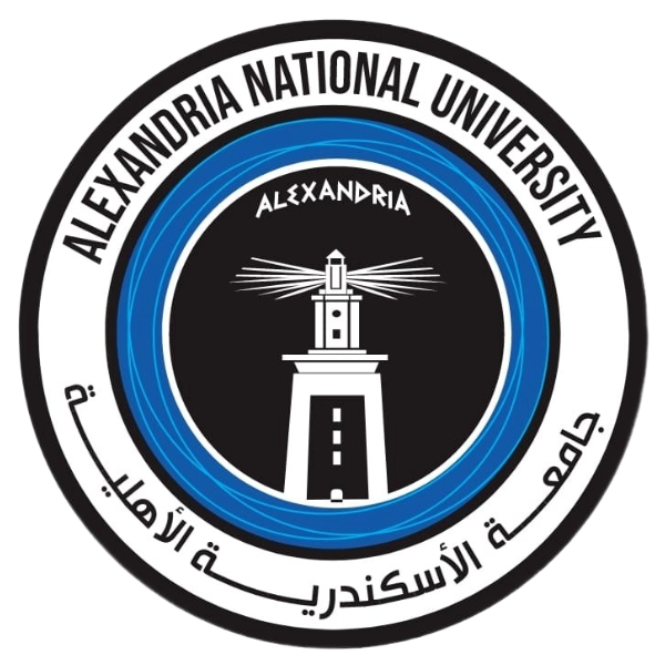 الأمن السيبرانى