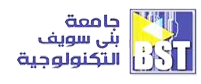 برنامج تكنولوجيا المعلومات