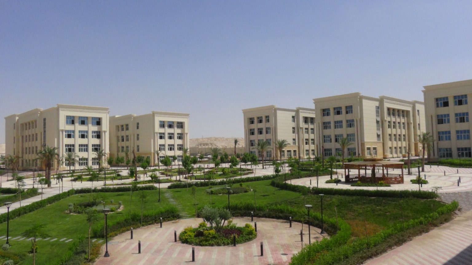 الطب البشري