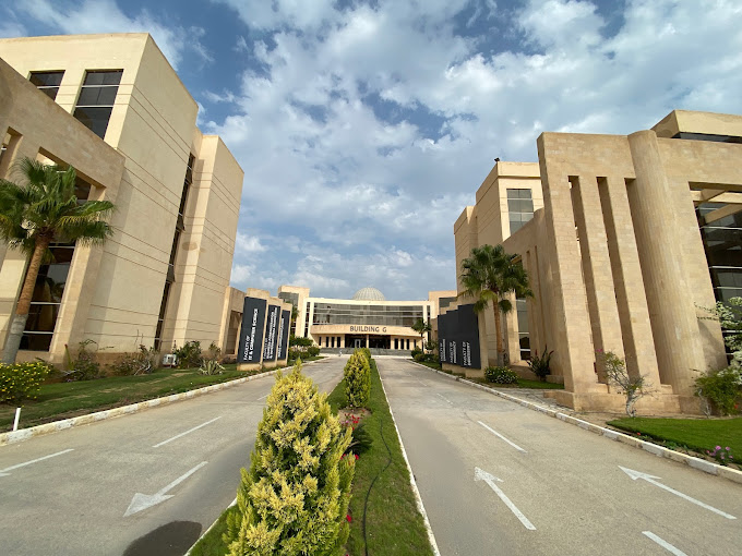 إدارة الأعمال