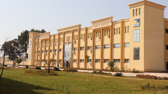 جامعة الدلتا التكنولوجية 