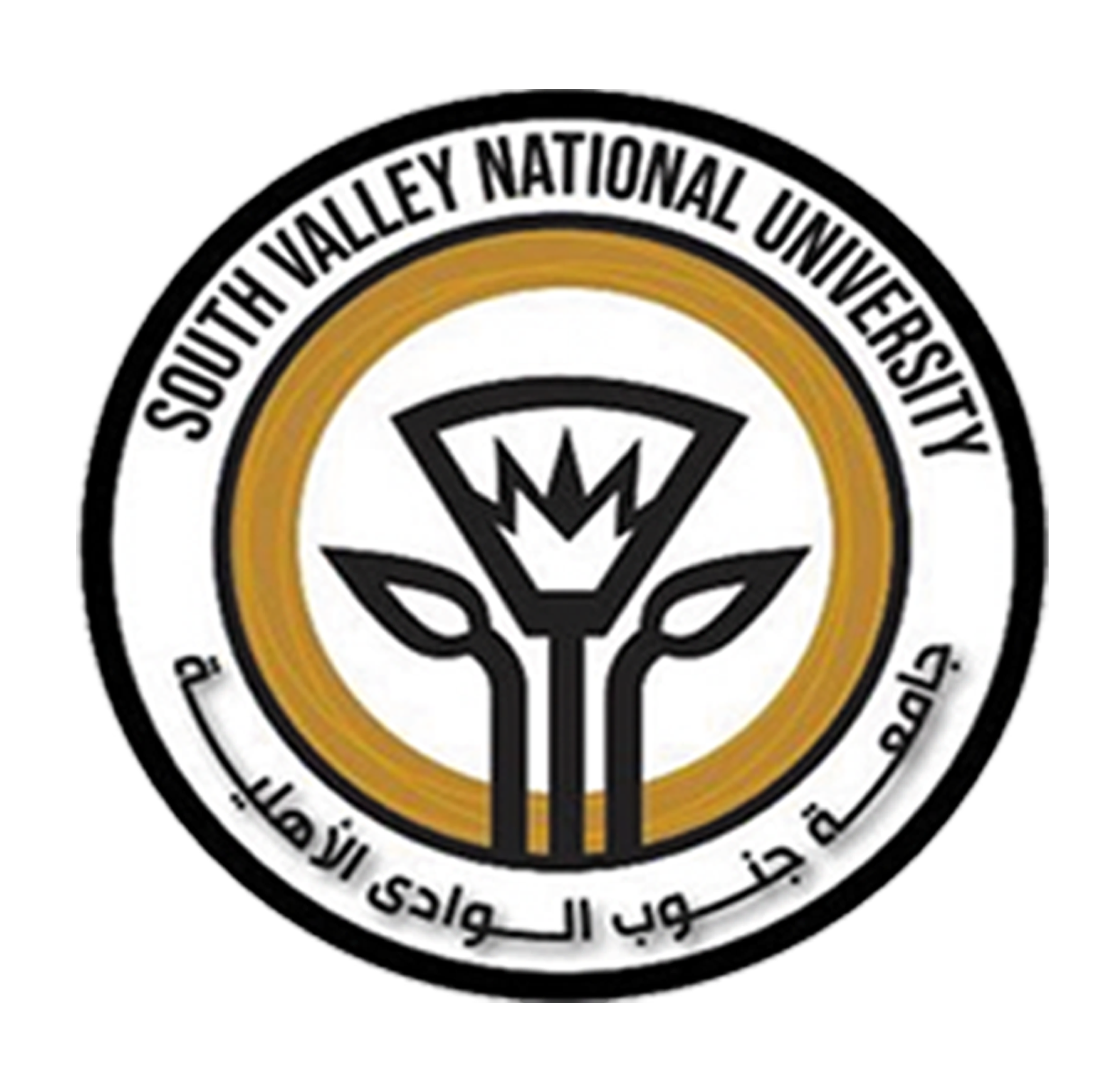 أنظمة المعلومات