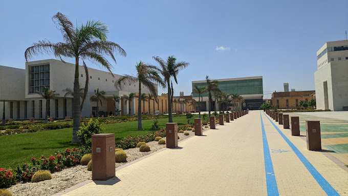 التجارة الدولية والعلوم الإنسانية